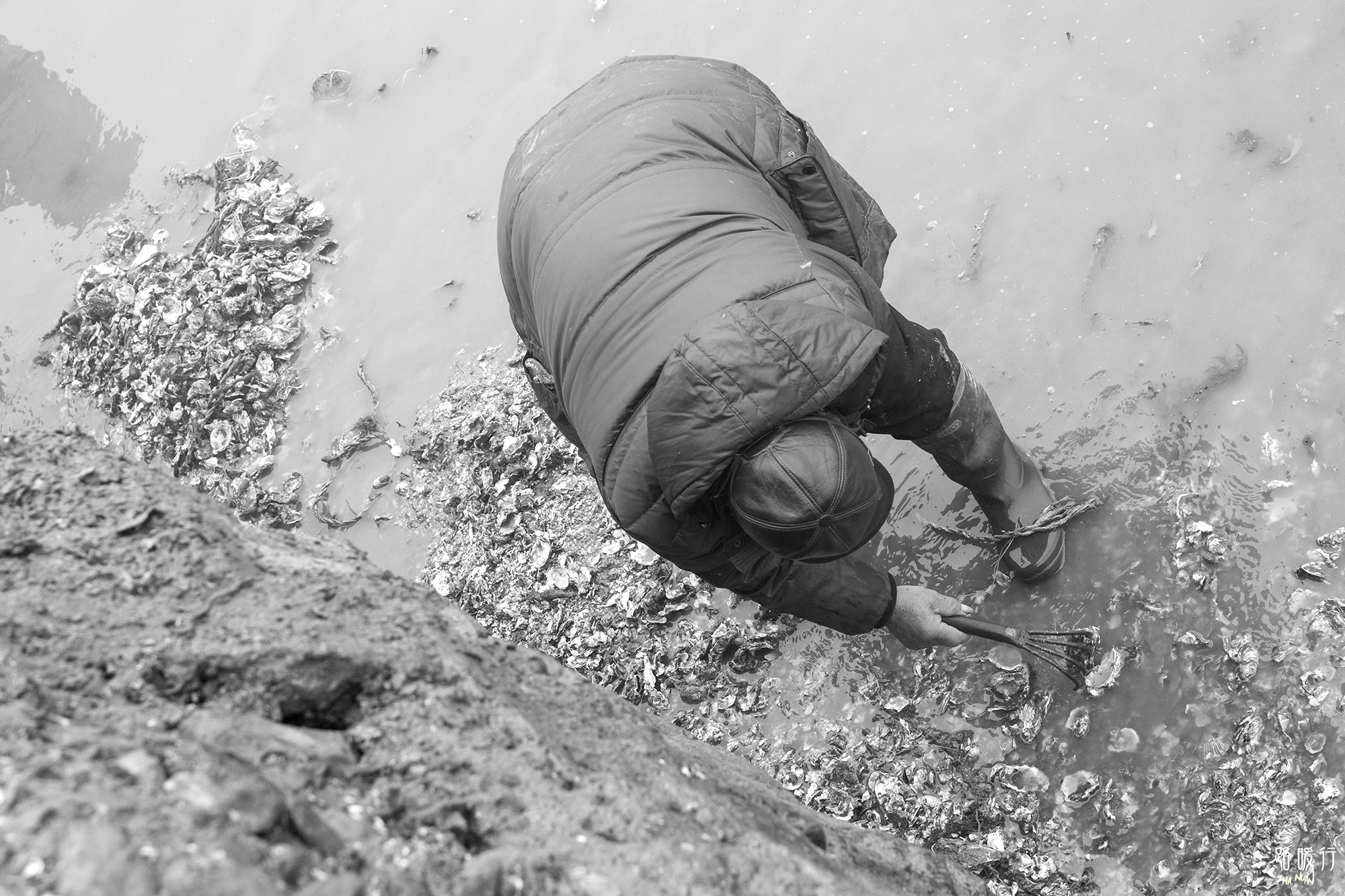 乳山为什么是长寿之乡,威海乳山市的海景房