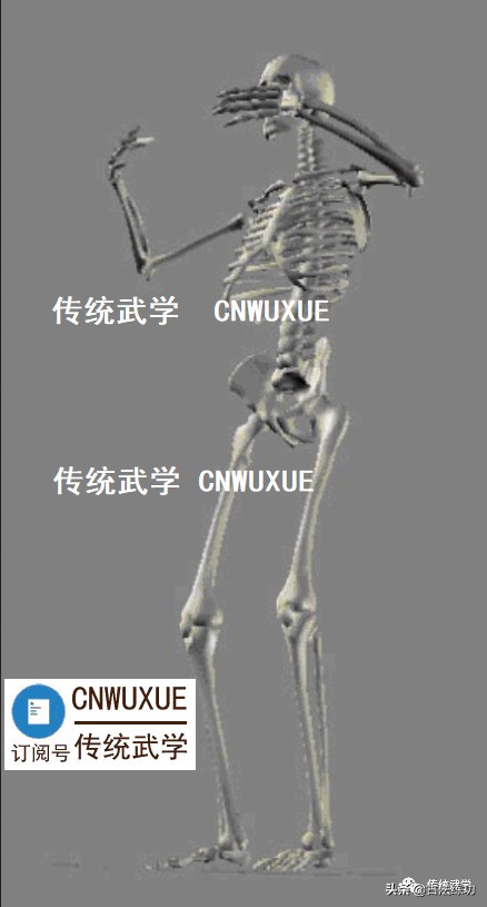 站桩上下意念,站桩简析