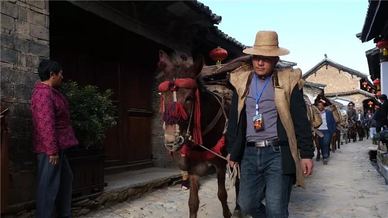 探寻世外桃源,凤庆滇红茶景区