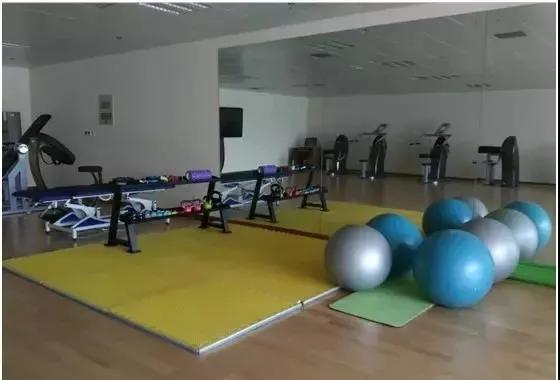 专业解读|体育教育、运动康复、运动训练、武术与民族传统体育