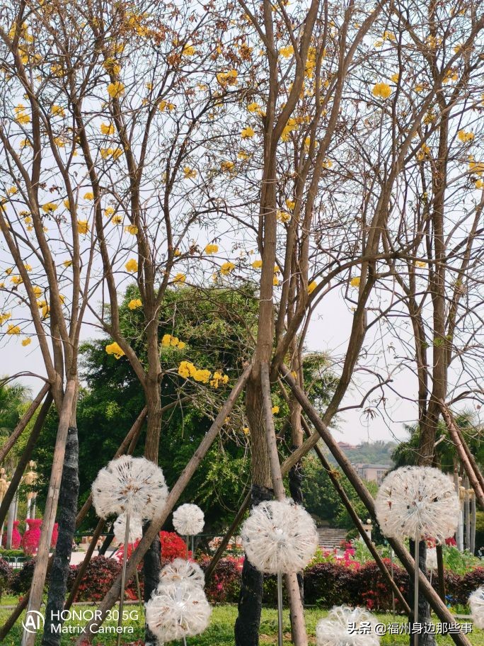 福州露营休闲放松好去处,福州温泉景区