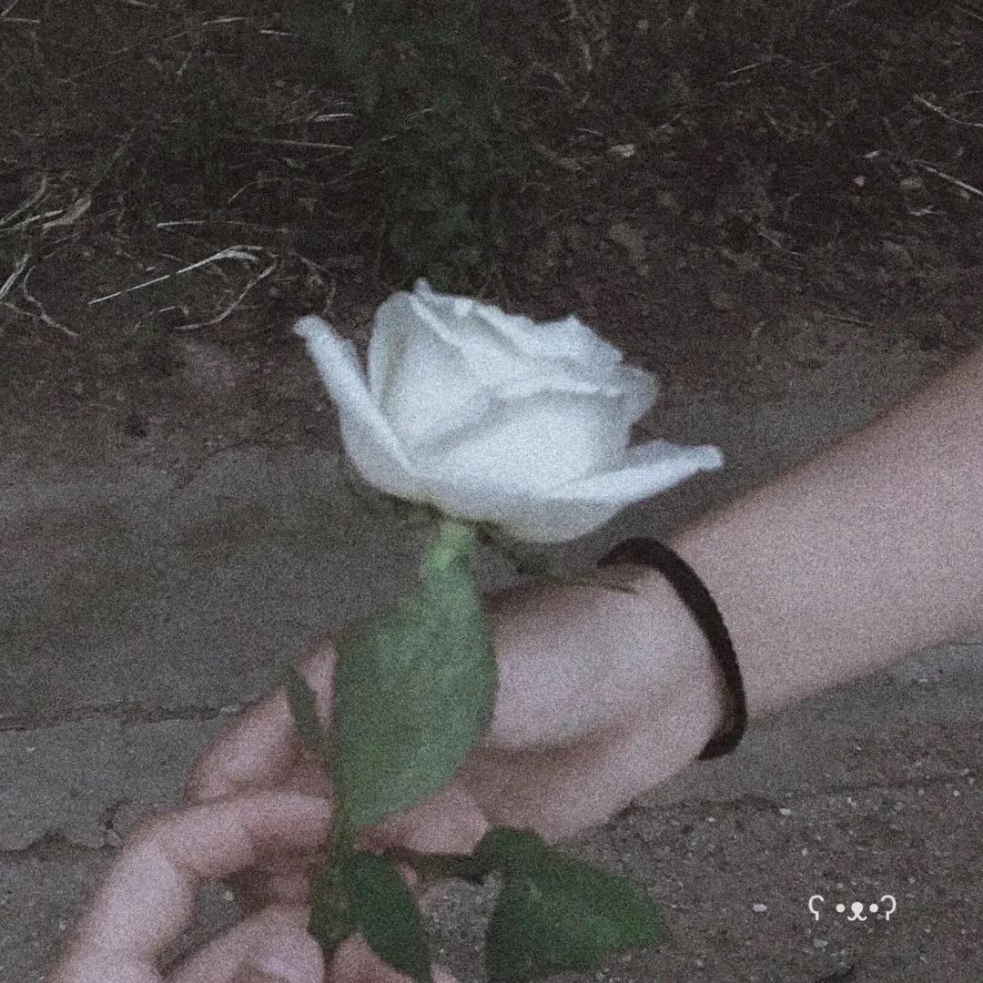 朋友圈背景图有病,朋友圈背景图包