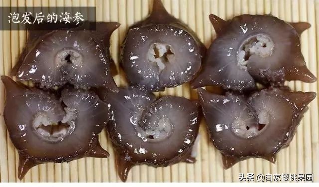 辽参科普,真正的辽参