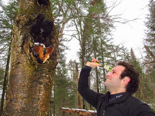 cctv7神奇的驼奶广告,cctv7白桦茸