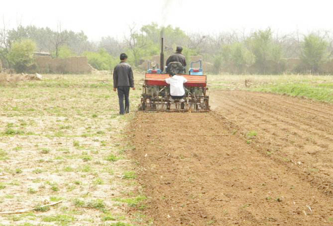 大豆如何种植更高产?从种到收需要哪些管理?农户们该怎么做?