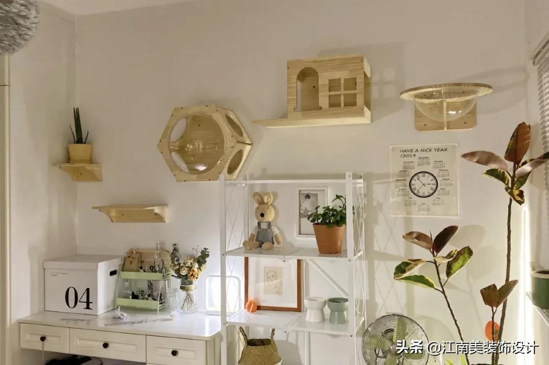 没有阳台的房子养宠物怎么装修,家里养宠物该怎么装修