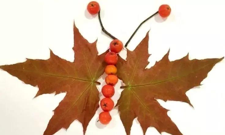 有多少种各种各样的小动物呢,用落叶做可爱的小动物