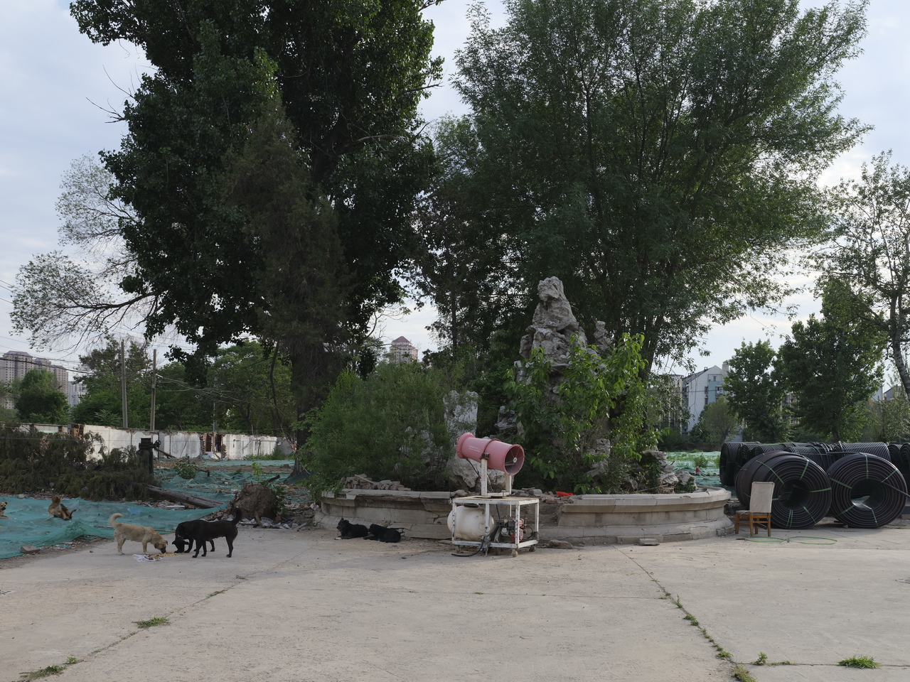 天津动力机厂老照片,天津动力机厂原厂址