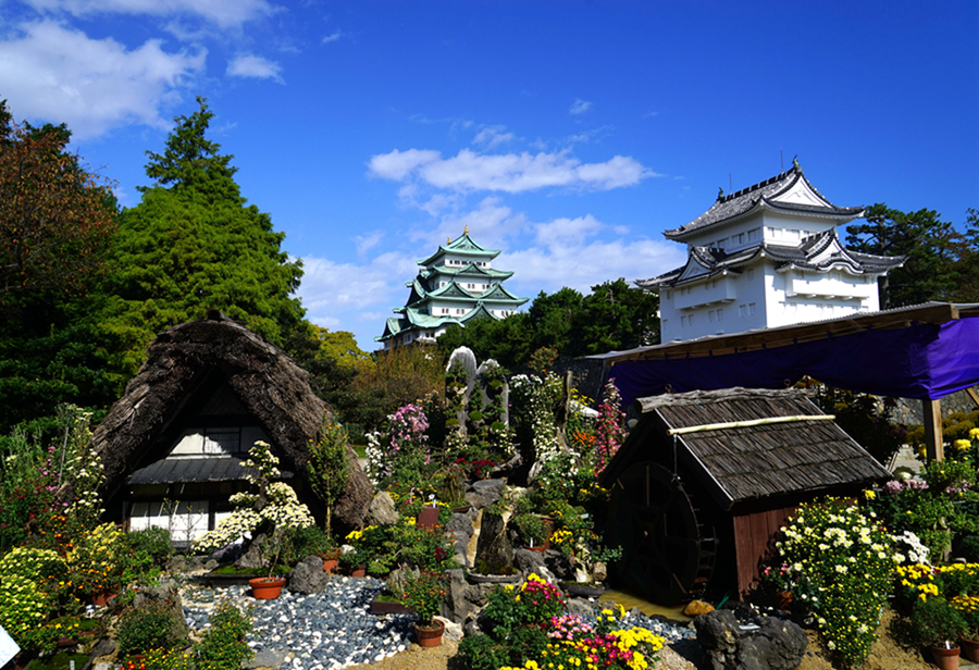 东京环球日本语学校怎么样,日本东京环球语言学校好吗