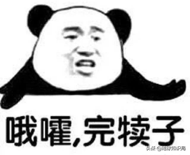 那些红遍全国的东北土话都是怎么来的？