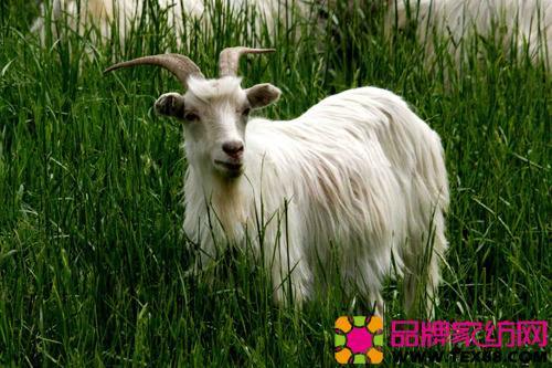 各种常见面料区别,天丝面料的优缺点及保养