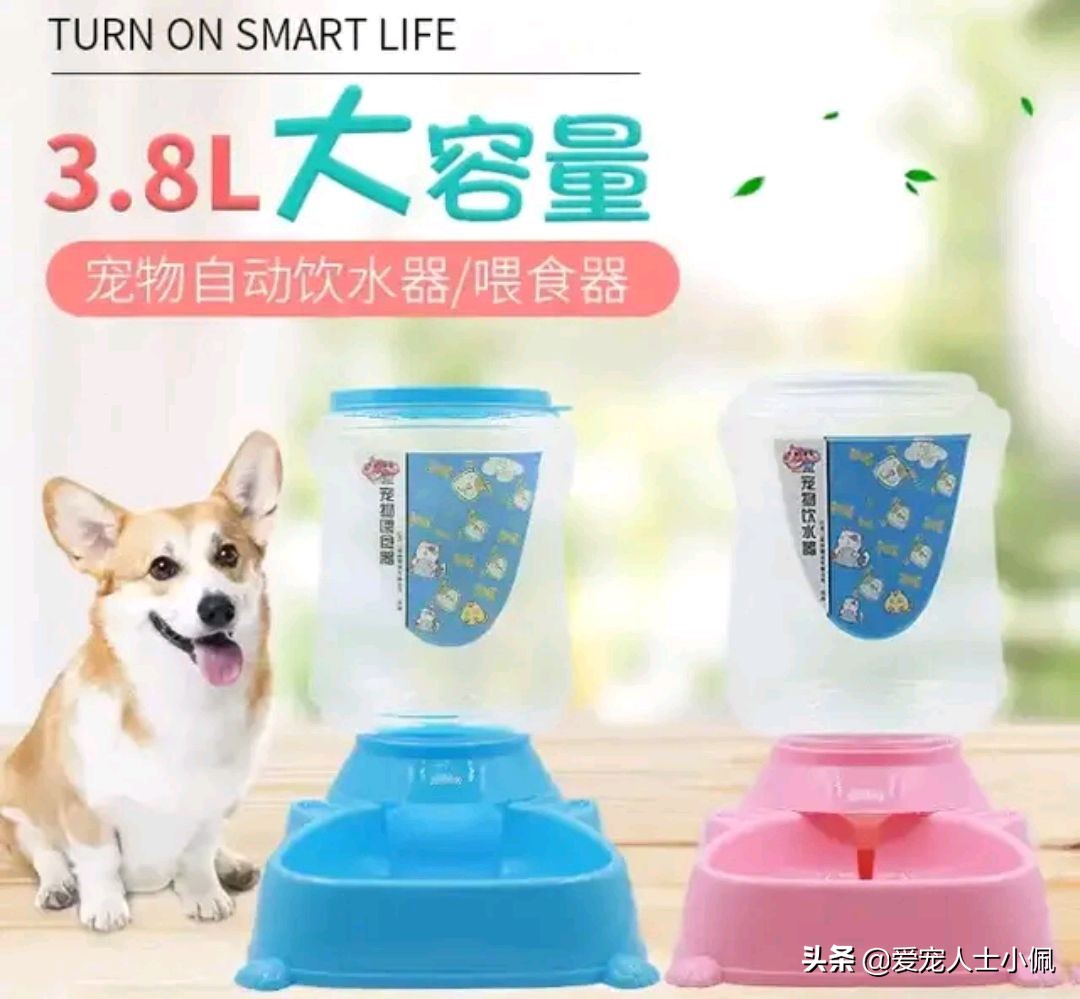 满月幼犬不吃食,刚满月幼犬不吃不喝怎么办