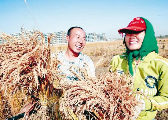 沟通一定要懂的几个道理,沟通在日常生活的重要性