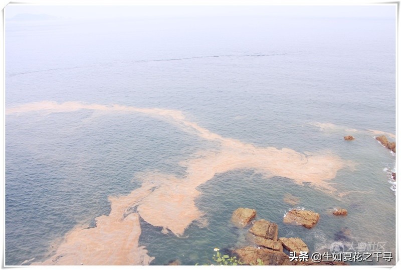 深圳市杨梅坑美人鱼拍摄基地,深圳大鹏杨梅坑美人鱼拍摄地点