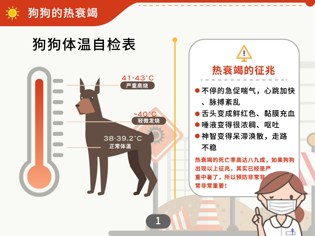 中暑怎么给狗狗快速降温,狗狗到了夏天中暑一直喝水怎么办