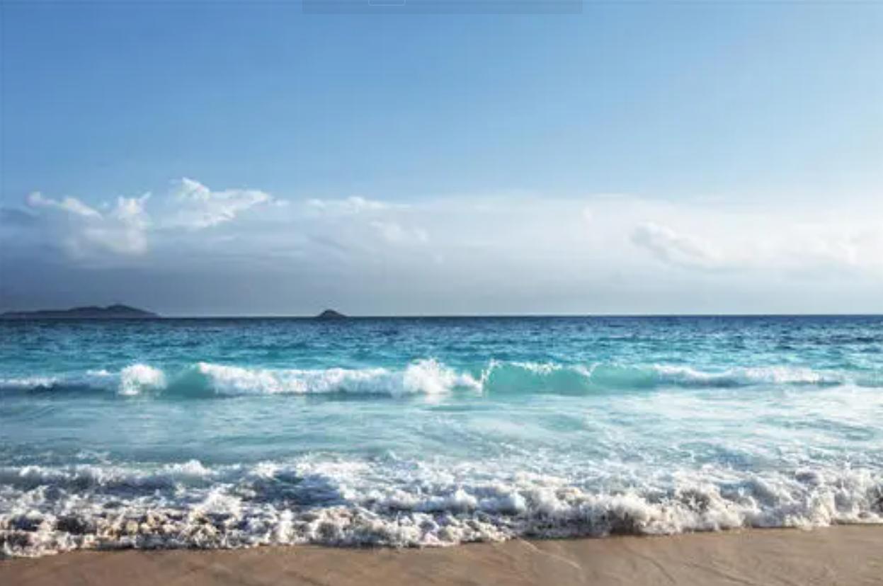 动物不用吃盐吗,宠物真的不能吃盐吗