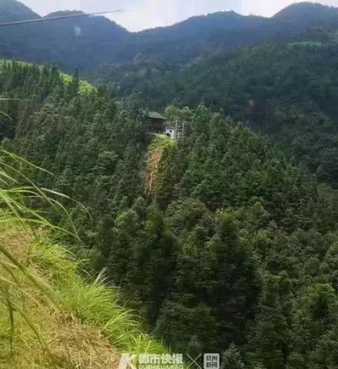 400万粉丝网红乞丐哥,百万网红乞丐哥是逃犯