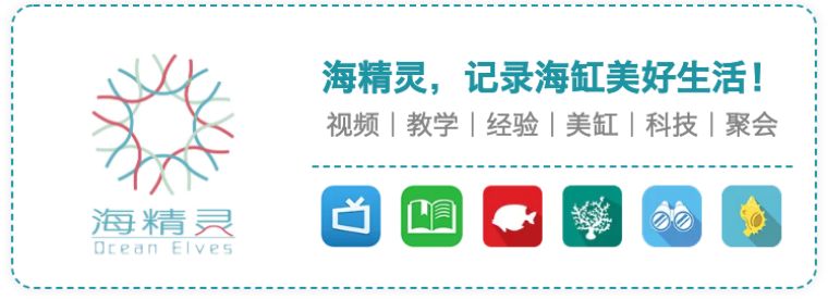 海缸no3值多少算正常,海缸no3超标会有什么问题