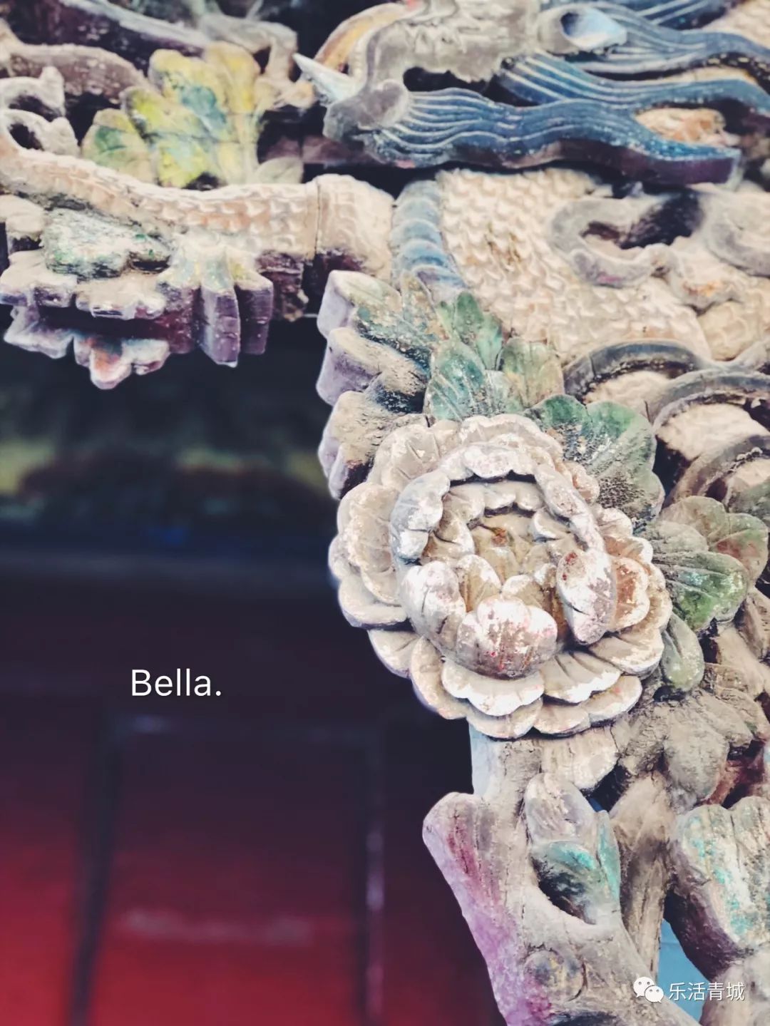 贝拉专访合集,贝拉专访完整版