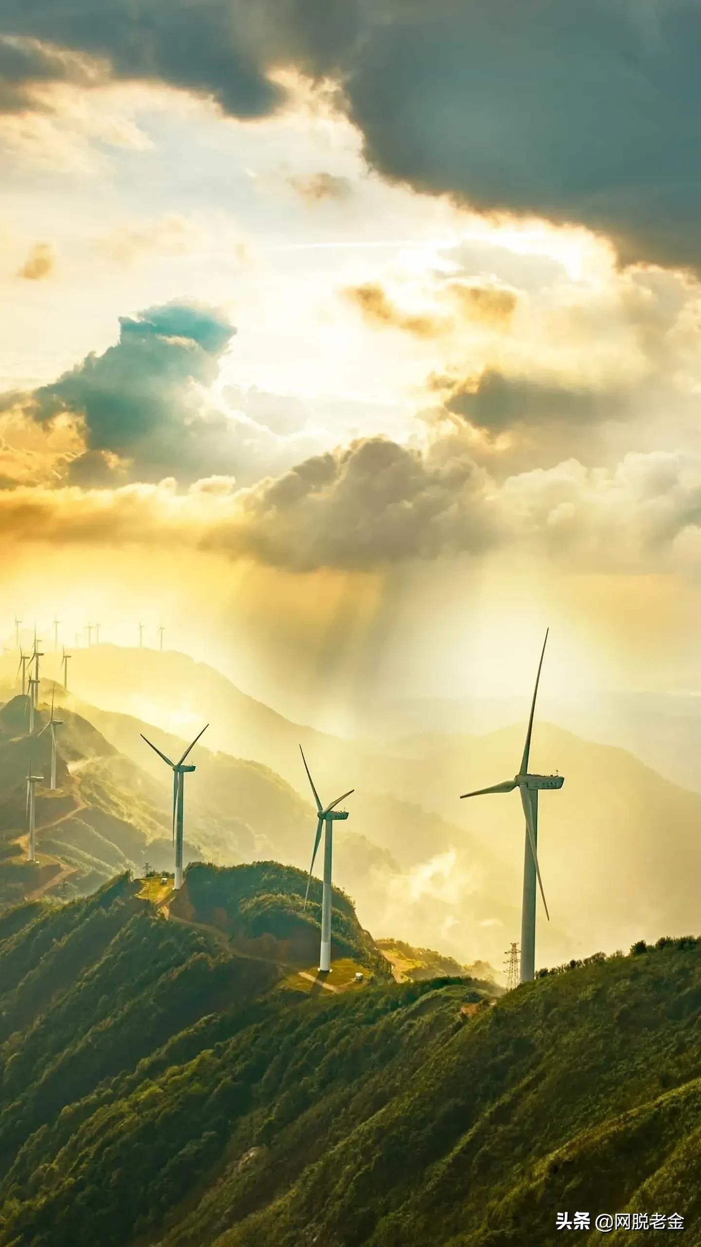 光威集团碳纤维发展史,碳纤维鱼竿光威