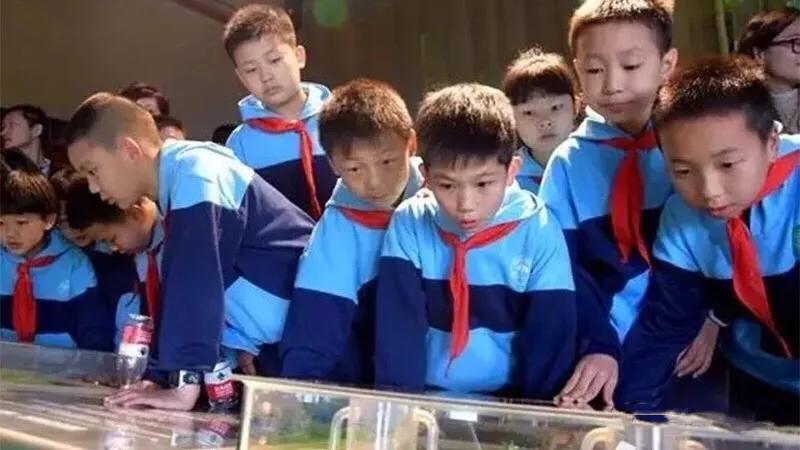 长沙洋湖读哪个学校,长沙洋湖学武术