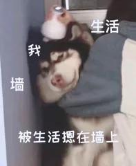 广州租房提取公积金一次能取多少,广州公积金提取多久提取一次