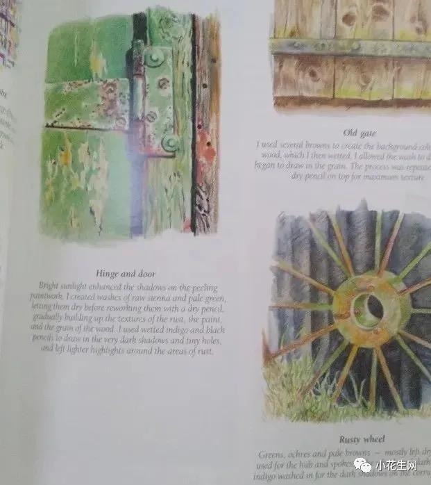 从零开始学绘画必备的画,从零开始学绘画第一步教程