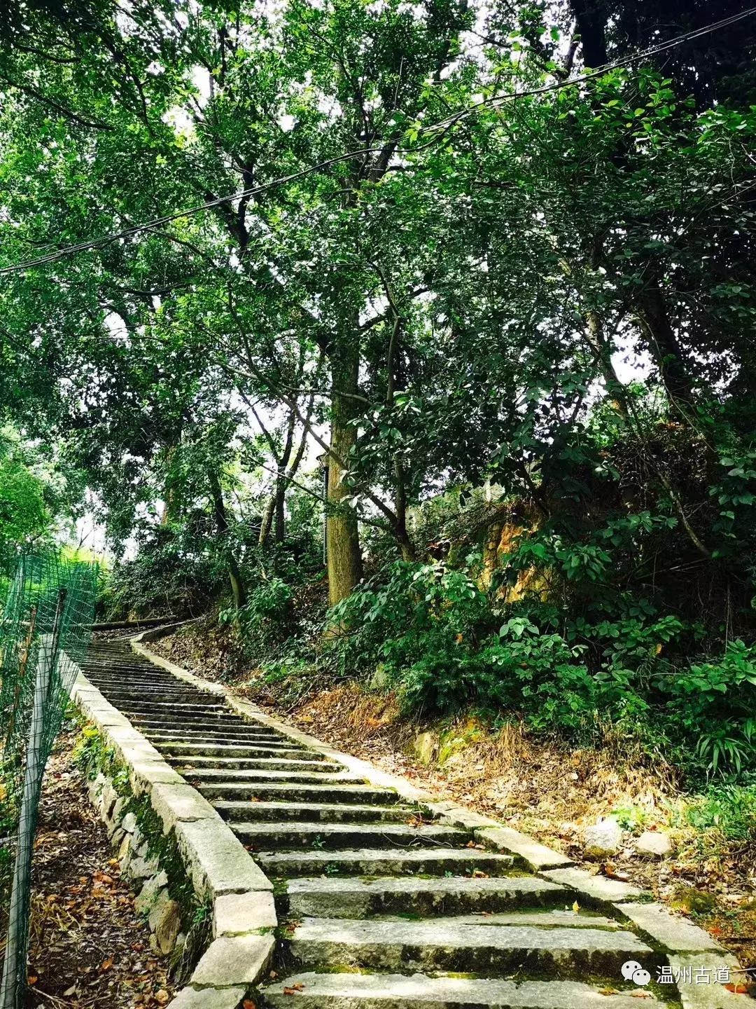 千年古村平阳县鸣山村古城夜景,平阳昆阳鸣山古村落