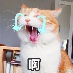 和小ck一样的小众包包,包包小ck轻奢风