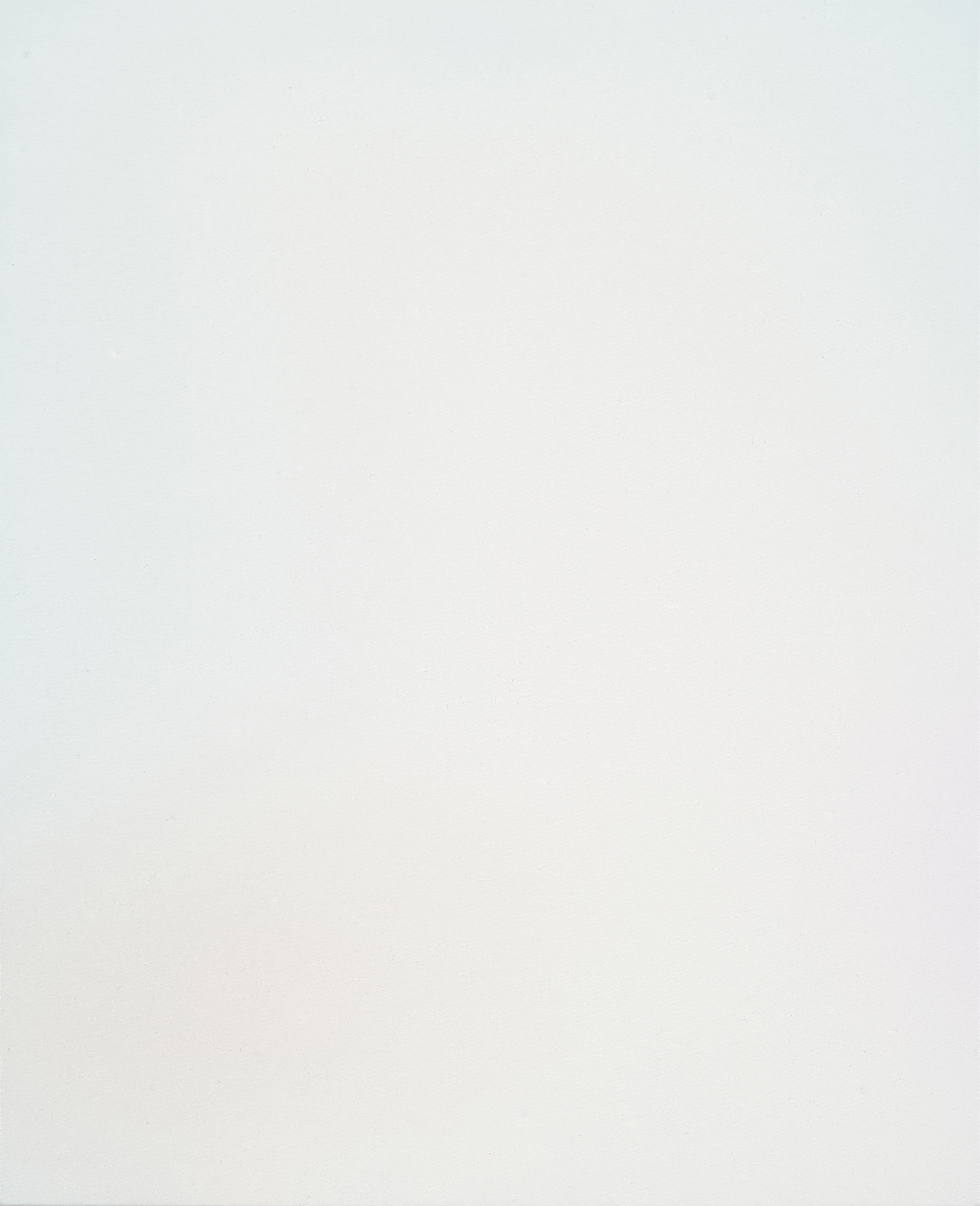 两端之间：万杨的绘画｜艺术栗子