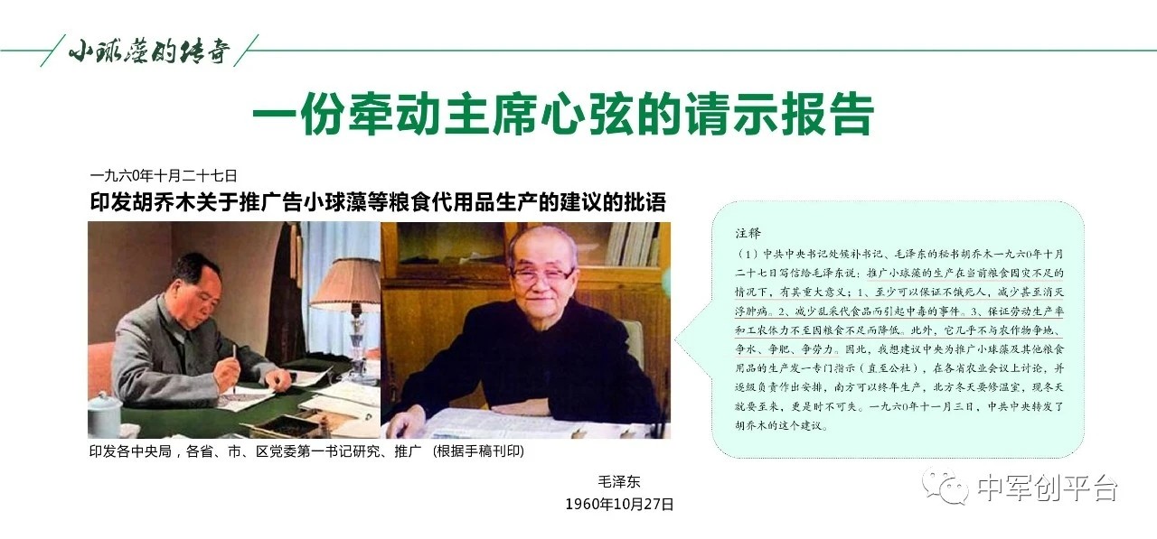 小球藻营养模式,小球藻食品推广