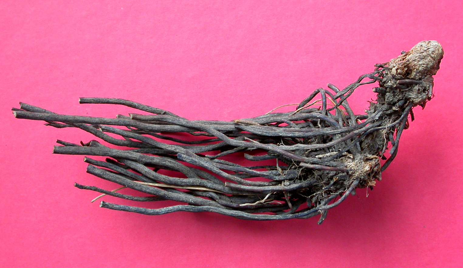 王药师清脉通,王药师的用药宝典