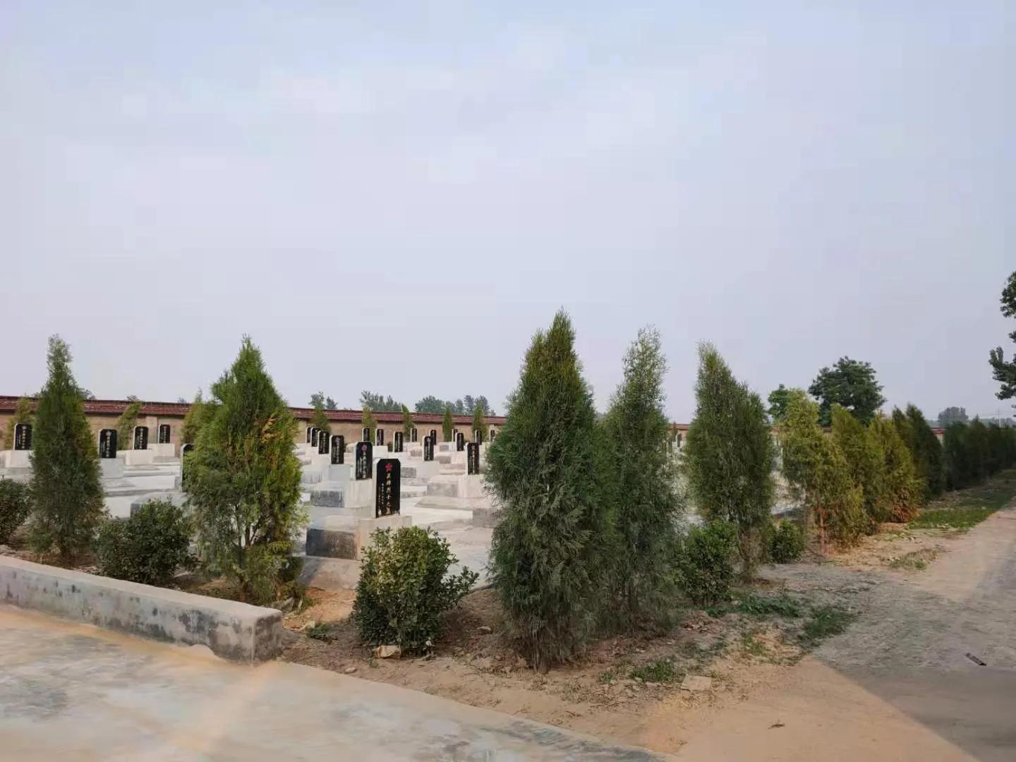 曹县魏湾镇各村姓氏分布,曹县魏湾地名