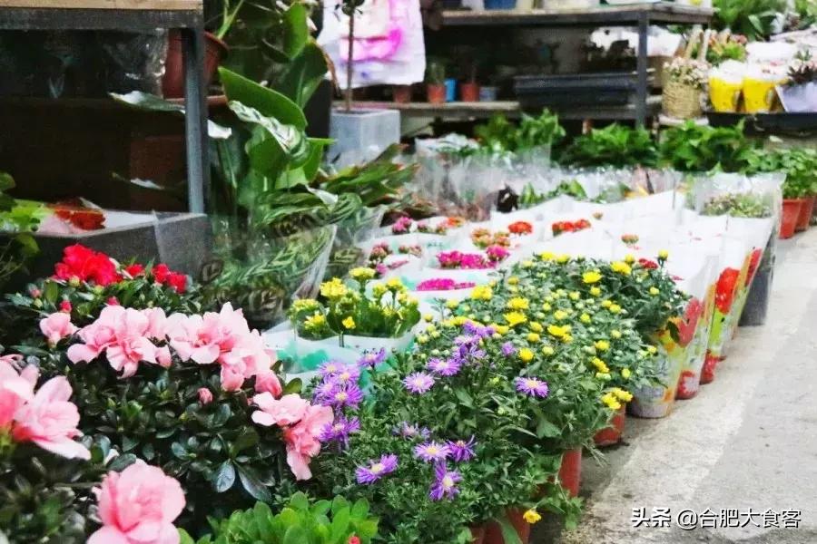 <html>
<head><title>502BadGateway</title></head>
<body>
<center><h1>502BadGateway</h1></center>
<hr><center>nginx</center>
</body>
</html>
<!--apaddingtodisableMSIEandChromefriendlyerrorpage-->
<!--apaddingtodisableMSIEandChromefriendlyerrorpage-->
<!--apaddingtodisableMSIEandChromefriendlyerrorpage-->
<!--apaddingtodisableMSIEandChromefriendlyerrorpage-->
<!--apaddingtodisableMSIEandChromefriendlyerrorpage-->
<!--apaddingtodisableMSIEandChromefriendlyerrorpage-->
