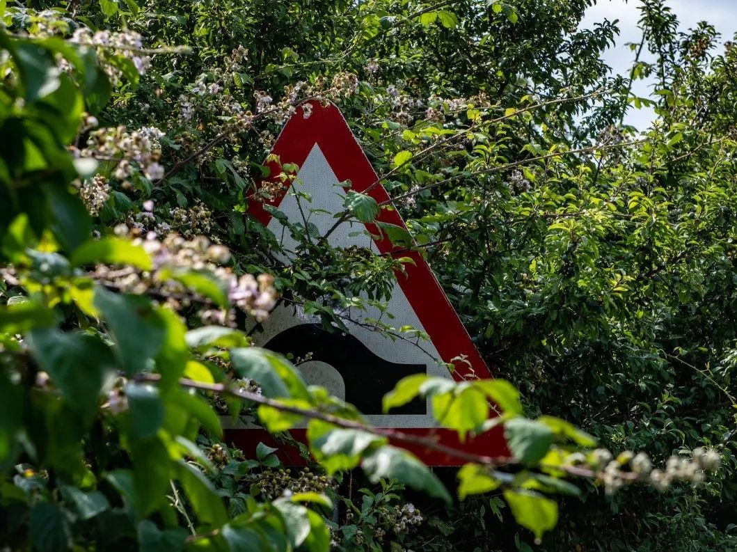 北大教授雷人言论,北大教授有哪些奇葩言论