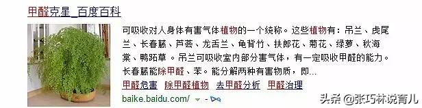 真正除甲醛从来就没有简单的方法,关于除甲醛的五种方法