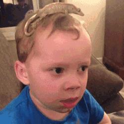 baby都在穿的乐虎鞋,baby所有服装图片