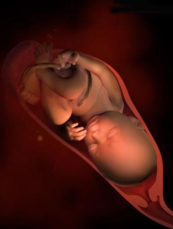 胎儿34-40周能长多少斤,怀孕38周十天里胎儿能长多少斤