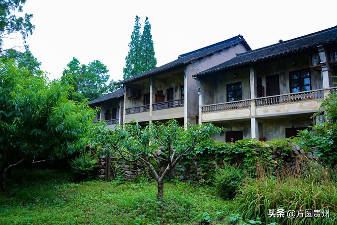 这个夏日，看这个美女如何在浙江乌村的第一百种玩法