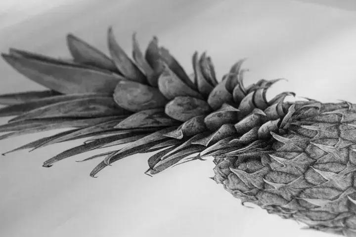 小央美钢笔画视频,极品五大钢笔画简直美爆