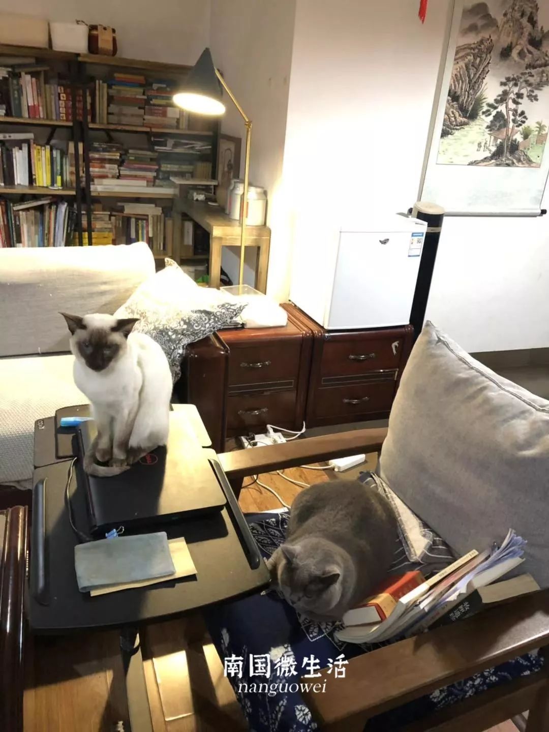 顶不住了！看看在家办公半个月的南宁人