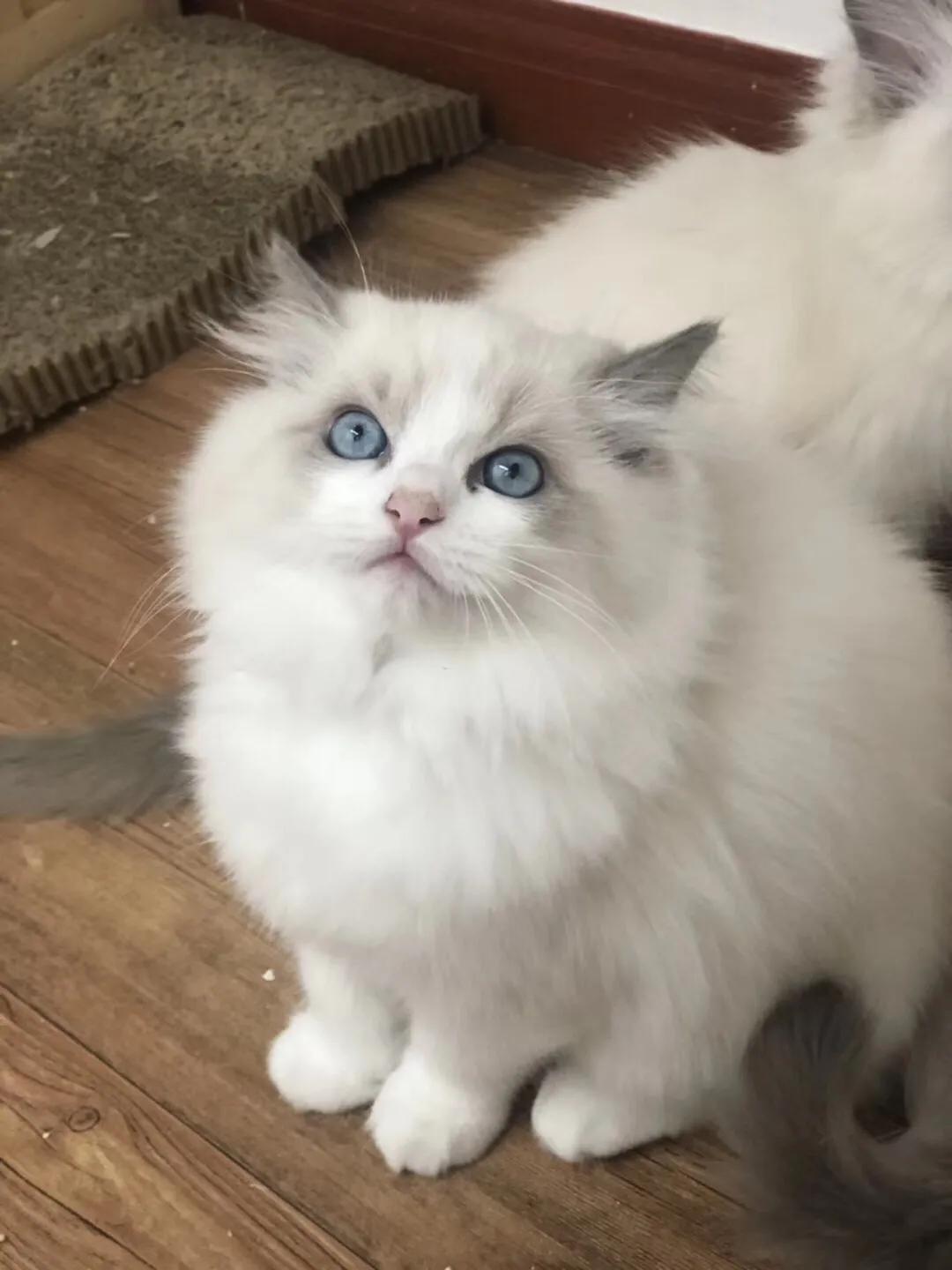 如果价格一样你会选择哪个,如果价格能决定一切