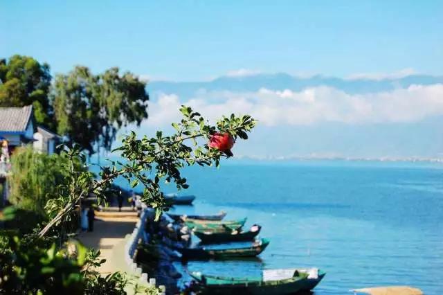 云南最美公路沿途景点,云南最美的十大高速公路