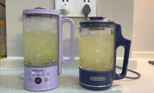 哪种牌子养生壶最好用又实惠,哪个牌子的养生壶好用小巧又实惠