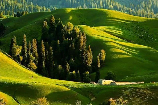 椋為┌鏂扮枂,椹伴獘鐤嗗煙鏃呮父