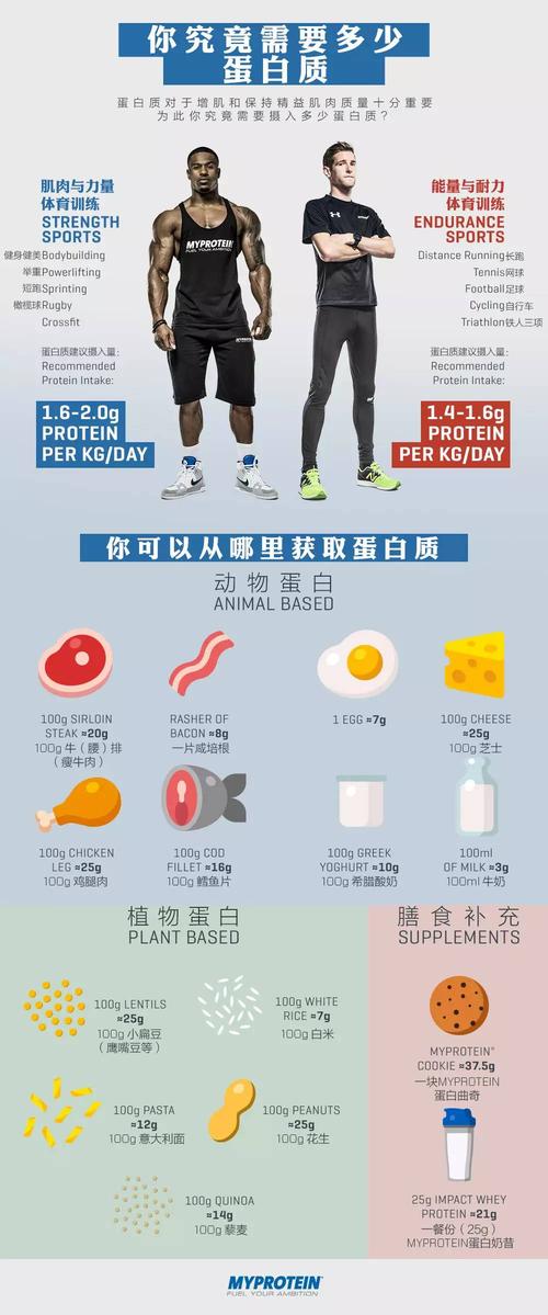 营养蛋白粉的功效和作用,健身吃的蛋粉对人有害吗