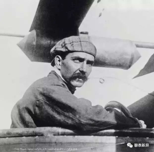 百里鸽是什么鸽,百里鸽是什么鸽图片