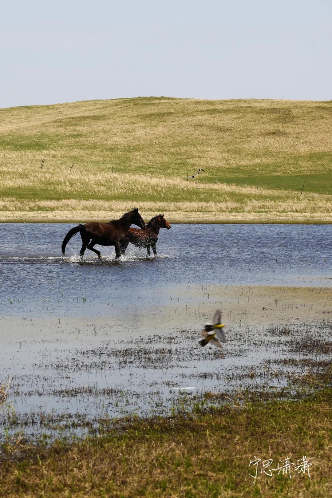 “5”缘有缘我与摄影的故事也是我与佳能“5”的故事