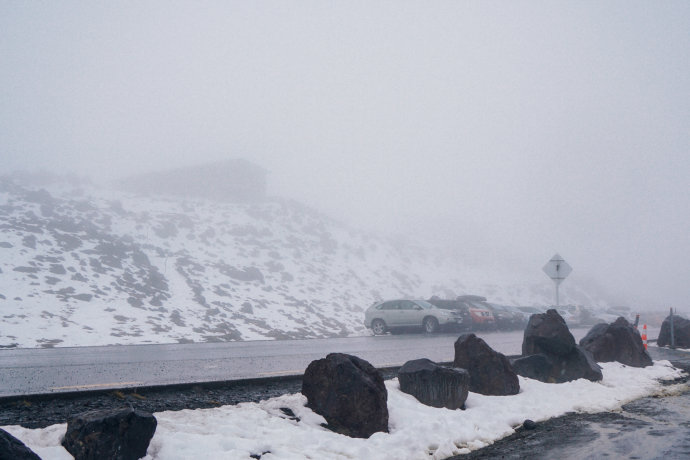 新西兰｜在首屈一指的滑雪胜地，与黑天鹅一起戏水