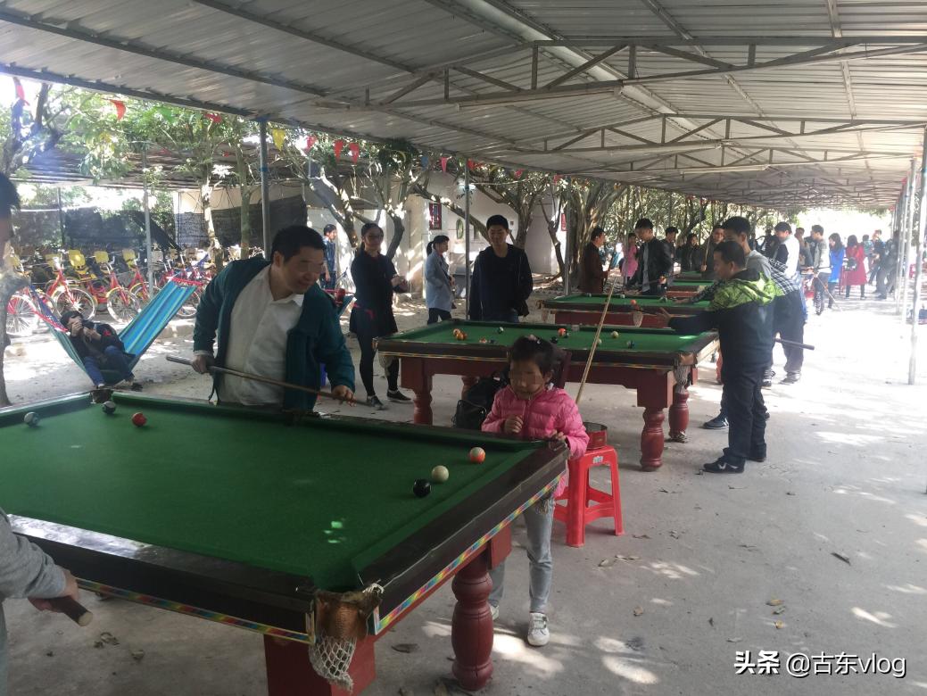 九龙生态园,九龙生态农业园景点